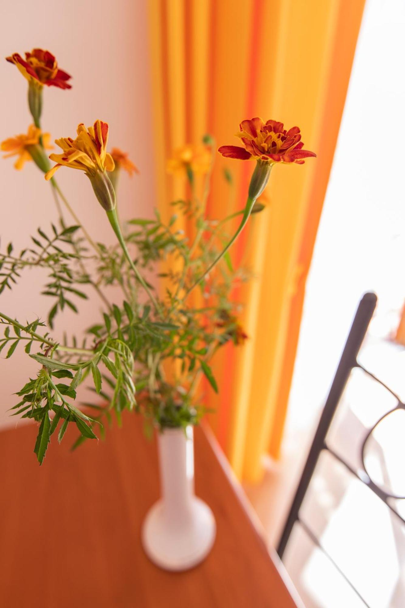 Sant'Anna Bed & Breakfast Аджерола Екстер'єр фото