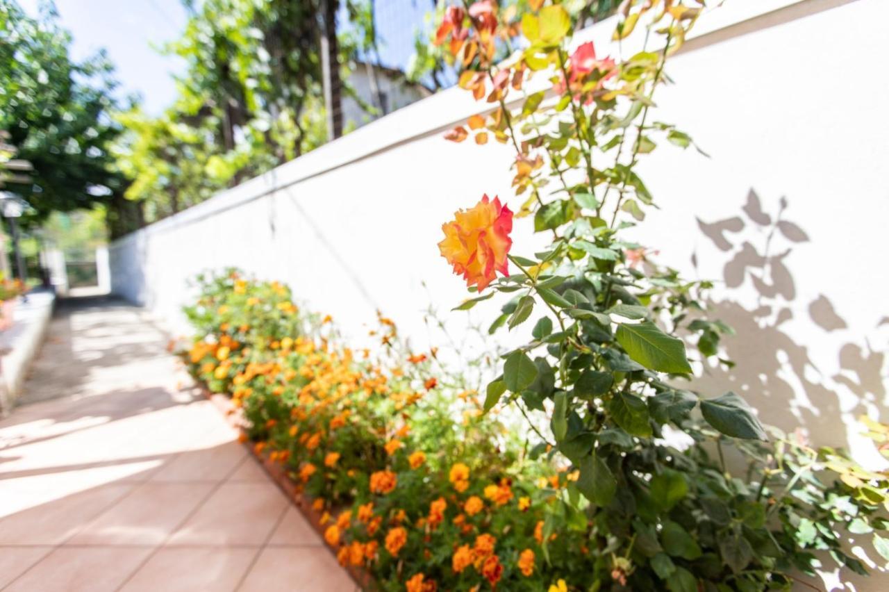 Sant'Anna Bed & Breakfast Аджерола Екстер'єр фото
